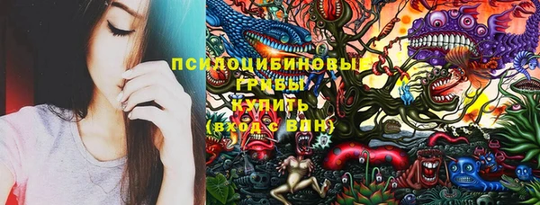 спиды Дмитров