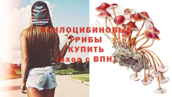 мет Дмитровск