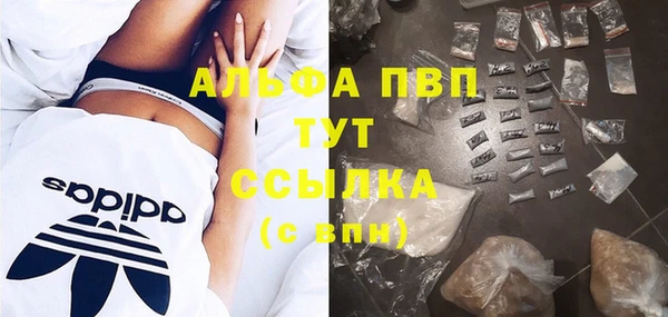 спиды Дмитров