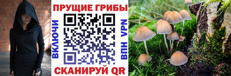 Псилоцибиновые грибы мицелий  Купить где  Тюкалинск 